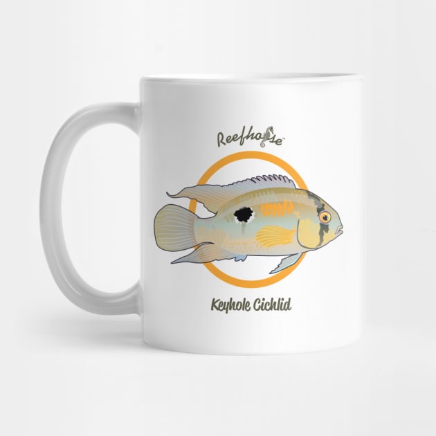 Keyhole Cichlid by Reefhorse